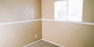 SMALL DOG FRIENDLY!!!  Meadow Street House Gallery 22