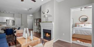 The Trails of White Rock Gallery 2