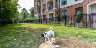 Gateway Chastain Gallery 6