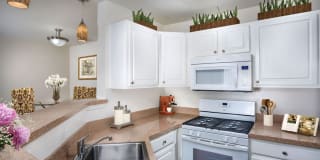 Trevors Run Apartments Gallery 4