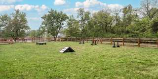 Steeplechase Gallery 51