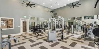 Lantower Westshore Gallery 27