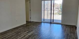 CC516 Gallery 7