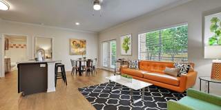 Austin City Lights Gallery 2