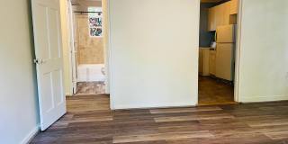 459 Ethel Street Gallery 15