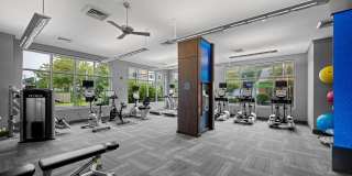 The Washingtons Gallery 12