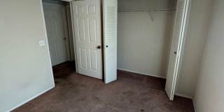 First 2 weeks free offer Gallery 11