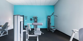 Ascent of Palm Bay Gallery 6