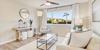 Lexington Palms at the Forum Gallery 4