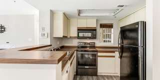 10531 BEACON RIDGE DR #13-101 Gallery 11