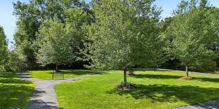 Allards Grove Gallery 3