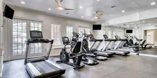 San Miguel Gallery 16