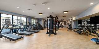 Solis Hills Gallery 21