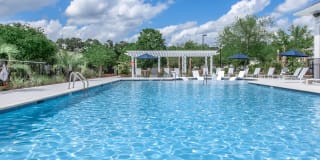 Tesla Park Gallery 1