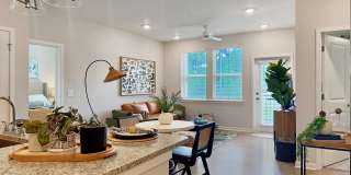 Waterleaf at Salt Creek Gallery 32