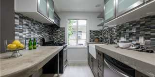 1212 Castle Hill St #7 Gallery 21