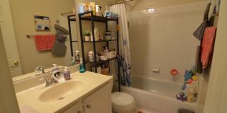 2039 GALLOWS TREE Court Gallery 27