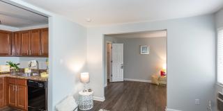 Southmoor Gallery 7