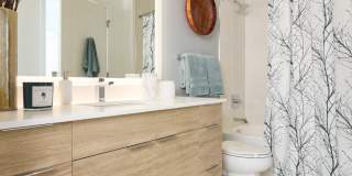 Chevy Chase Lake Gallery 38