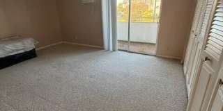 59 Brighton B Gallery 11