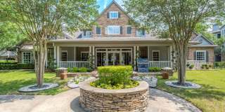 Knox at Shadowlake Gallery 1