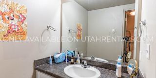 859 E 620 N Gallery 7