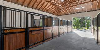 15161 Collecting Canal Road Gallery 27