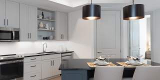 AVE Paradise Valley Gallery 13