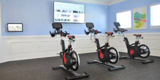 Alexandria Park Gallery 20