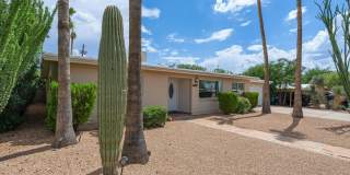 7862 E Pima Street Gallery 2