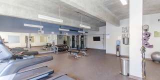 Carrington Gallery 22