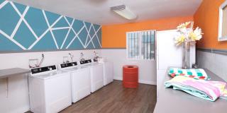 Fifteen 50 Gallery 22