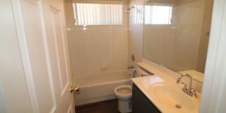 Showings Available NOW Gallery 21