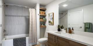 Sutter Green II Gallery 7
