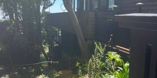 449 Burnett Avenue Gallery 5