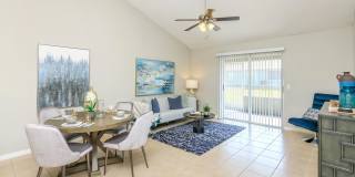 Ariel Springs Gallery 41