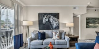 Renaissance Gallery 17