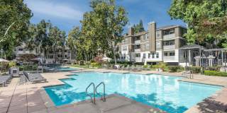 Bella Vista Gallery 1