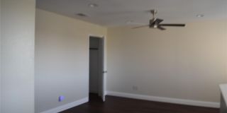 411 Paddock Lane Gallery 15