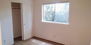 3 Bedroom Home in Hilltop Area Gallery 12