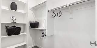 The Aster at Mountain Vista - BRAND NEW Gallery 11