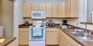 Ventura Vista Gallery 12