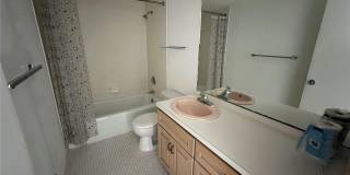 2616 COVE CAY DRIVE Gallery 8