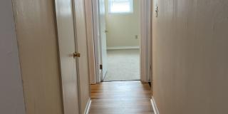 Graduate and Professional Gallery 139