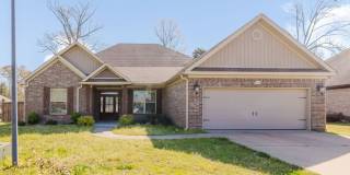 3236 Dapple Gray Gallery 1