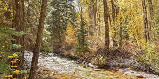 645 Sneaky Lane Gallery 24