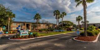 Sea Oats Sea Oats Gallery 66