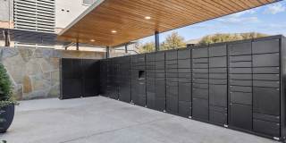 Dorian and Encore Gallery 46