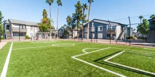 Palms at South Mountain Gallery 15