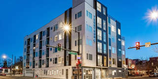 Tennyson44 Gallery 14